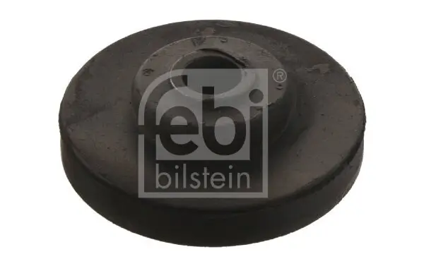 Lagerung, Kühler FEBI BILSTEIN 04531