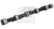 Spannrolle, Zahnriemen FEBI BILSTEIN 06070