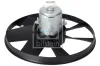 Lüfter, Motorkühlung FEBI BILSTEIN 06993 Bild Lüfter, Motorkühlung FEBI BILSTEIN 06993