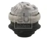 Lagerung, Motor beidseitig FEBI BILSTEIN 07023