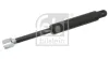 Gasfeder, Koffer-/Laderaum beidseitig FEBI BILSTEIN 08139