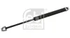 Gasfeder, Motorhaube beidseitig FEBI BILSTEIN 08850