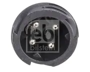 Kühlerschlauch rechts rechts unten unten FEBI BILSTEIN 100353