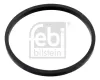 Dichtung, Thermostat FEBI BILSTEIN 100055