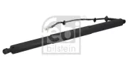 Gasfeder, Koffer-/Laderaum beidseitig FEBI BILSTEIN 1003591