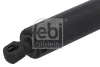 Gasfeder, Koffer-/Laderaum beidseitig FEBI BILSTEIN 1003592 Bild Gasfeder, Koffer-/Laderaum beidseitig FEBI BILSTEIN 1003592