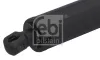 Gasfeder, Koffer-/Laderaum beidseitig FEBI BILSTEIN 1003696 Bild Gasfeder, Koffer-/Laderaum beidseitig FEBI BILSTEIN 1003696