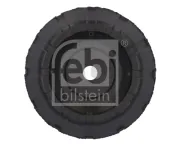 Riemenscheibe, Wasserpumpe FEBI BILSTEIN 102466