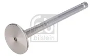 Dichtring, Ölablassschraube FEBI BILSTEIN 102624