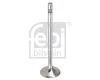Einlassventil FEBI BILSTEIN 1004530 Bild Einlassventil FEBI BILSTEIN 1004530