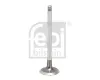 Auslassventil FEBI BILSTEIN 1005025 Bild Auslassventil FEBI BILSTEIN 1005025