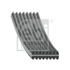 Keilrippenriemen FEBI BILSTEIN 1005046