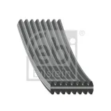 Keilrippenriemen FEBI BILSTEIN 1005046