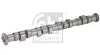 Nockenwelle FEBI BILSTEIN 1005807 Bild Nockenwelle FEBI BILSTEIN 1005807