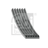 Keilrippenriemen FEBI BILSTEIN 1005822