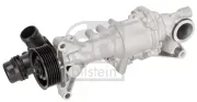 Wasserpumpe, Motorkühlung FEBI BILSTEIN 1006321