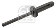 Blindniet FEBI BILSTEIN 100643