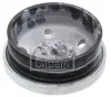Riemenscheibe, Kurbelwelle FEBI BILSTEIN 1009374 Bild Riemenscheibe, Kurbelwelle FEBI BILSTEIN 1009374