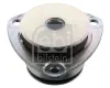 Anschlagpuffer, Fahrerhaus vorne FEBI BILSTEIN 101364