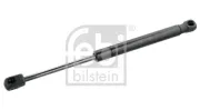 Gasfeder, Koffer-/Laderaum beidseitig FEBI BILSTEIN 101781
