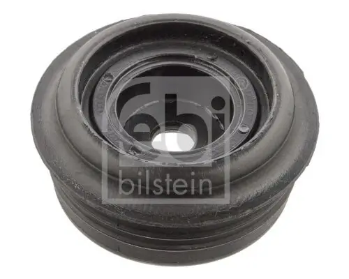 Federbeinstützlager Hinterachse FEBI BILSTEIN 102449