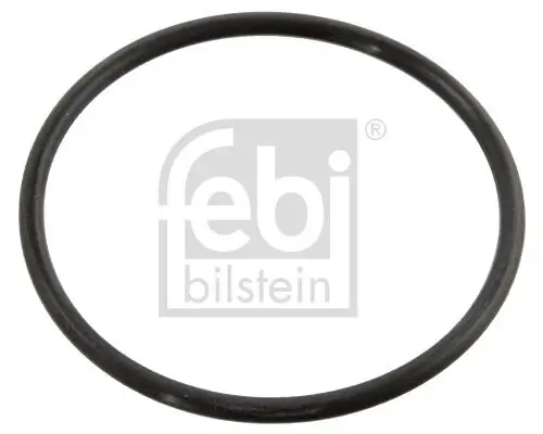 Dichtung, Thermostat FEBI BILSTEIN 10258