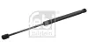 Gasfeder, Koffer-/Laderaum beidseitig FEBI BILSTEIN 103837
