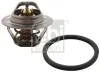 Thermostat, Kühlmittel FEBI BILSTEIN 104794