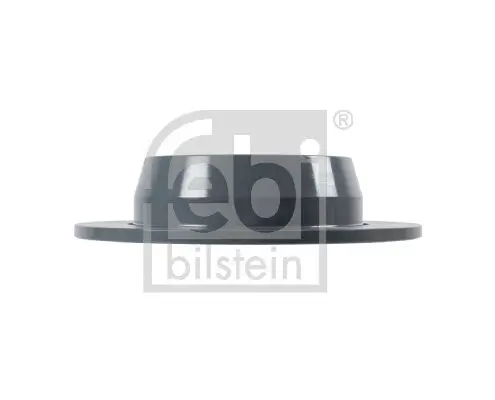 Bremsscheibe Hinterachse FEBI BILSTEIN 10641 Bild Bremsscheibe Hinterachse FEBI BILSTEIN 10641