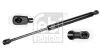 Gasfeder, Koffer-/Laderaum hinten beidseitig FEBI BILSTEIN 106701