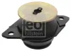 Lagerung, Motor hinten links FEBI BILSTEIN 15954