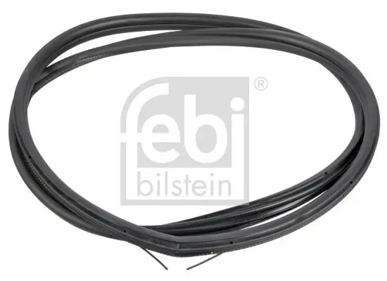 Türdichtung vorne beidseitig FEBI BILSTEIN 170773