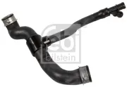 Kühlerschlauch unten FEBI BILSTEIN 172429