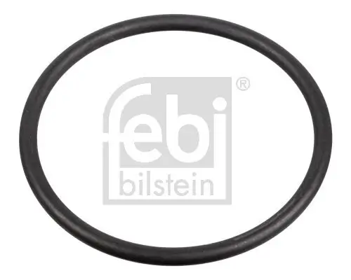 Dichtung, Kraftstoffpumpe FEBI BILSTEIN 172666 Bild Dichtung, Kraftstoffpumpe FEBI BILSTEIN 172666