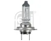 Gl&uuml;hlampe, Hauptscheinwerfer 24 V 70 W H7 FEBI BILSTEIN 173282