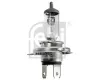 Gl&uuml;hlampe, Hauptscheinwerfer 24 V 75 W 70 W H4 verl&auml;ngerte Lebensdauer (r&uuml;ttelfest) verl&auml;ngerte Lebensdauer FEBI BILSTEIN 173286
