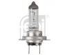 Gl&uuml;hlampe, Hauptscheinwerfer 24 V 70 W H7 verl&auml;ngerte Lebensdauer (r&uuml;ttelfest) verl&auml;ngerte Lebensdauer FEBI BILSTEIN 173287
