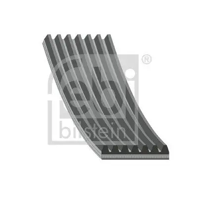 Keilrippenriemen FEBI BILSTEIN 174115