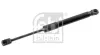Gasfeder, Motorhaube beidseitig FEBI BILSTEIN 174834