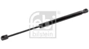 Gasfeder, Koffer-/Laderaum beidseitig FEBI BILSTEIN 174836