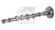 Nockenwelle Einlassseite FEBI BILSTEIN 175101