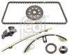 Steuerkettensatz FEBI BILSTEIN 175117
