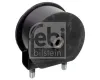 Lagerung, Motor vorne FEBI BILSTEIN 175388