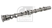 Nockenwelle Auslassseite FEBI BILSTEIN 176003