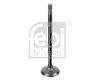 Einlassventil FEBI BILSTEIN 176538