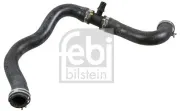 Kühlerschlauch unten FEBI BILSTEIN 178506