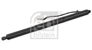 Gasfeder, Koffer-/Laderaum beidseitig FEBI BILSTEIN 179303