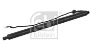 Gasfeder, Koffer-/Laderaum beidseitig FEBI BILSTEIN 179316