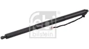 Gasfeder, Koffer-/Laderaum beidseitig FEBI BILSTEIN 179317