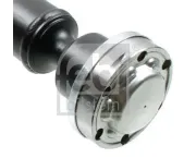 Lagerung, Differential hinten FEBI BILSTEIN 181509